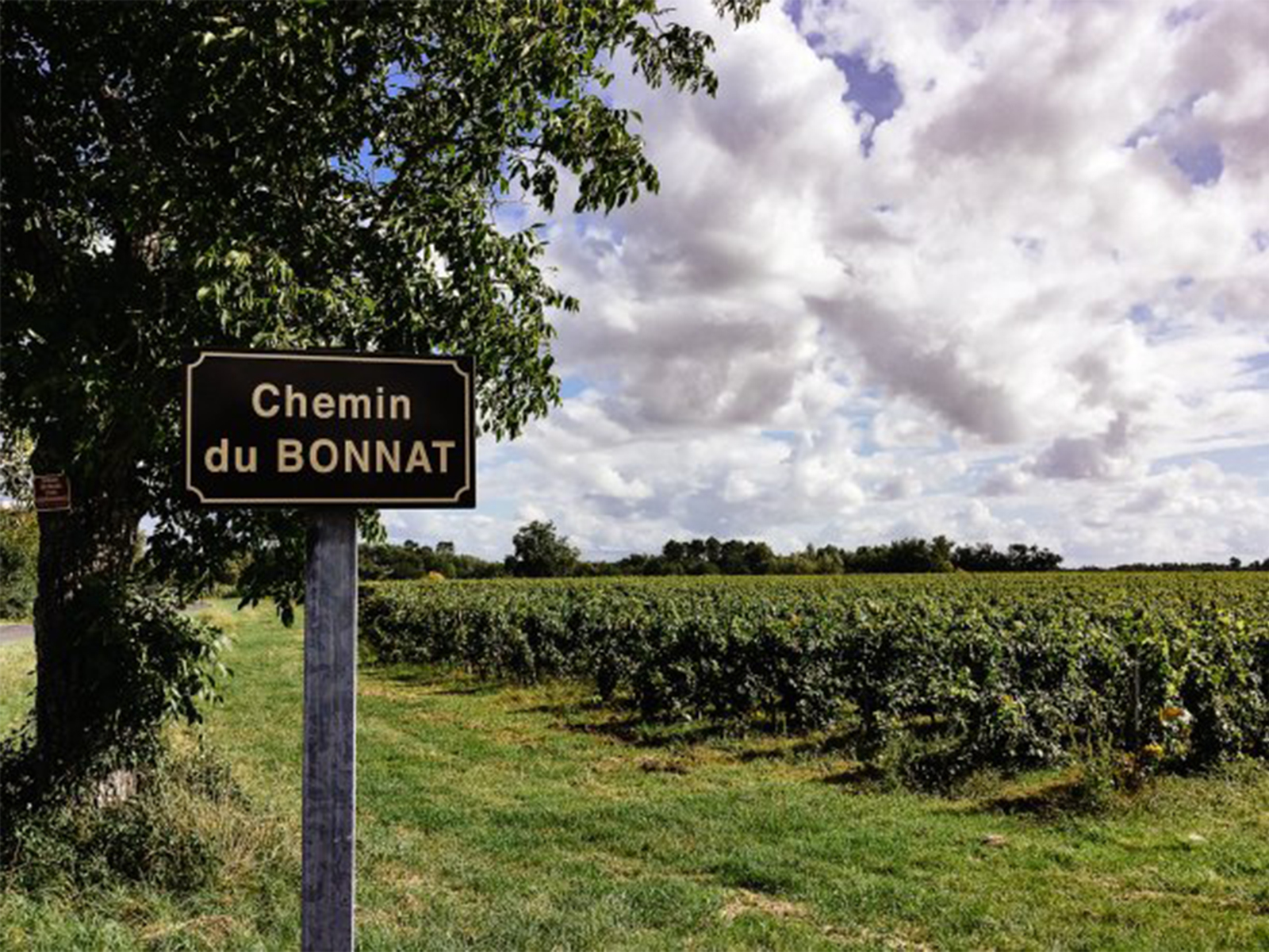 Chateau Le Bonnat Baron Francois