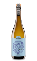 BS Neleman Verdejo